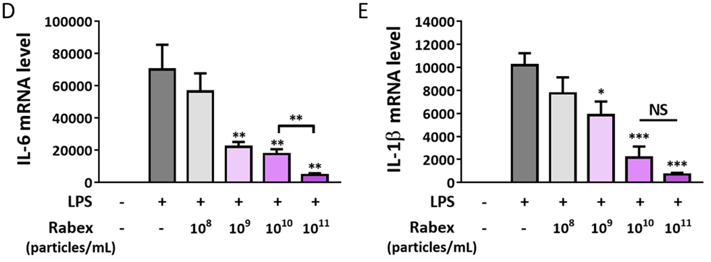 Purple cabbage-derived exosomes reduce IL-6 and IL-1β mRNA in LPS-treated RAW264.7 cells in a dose-dependent manner.